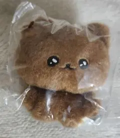 チェゴシム ぬいぐるみ くまゴシム