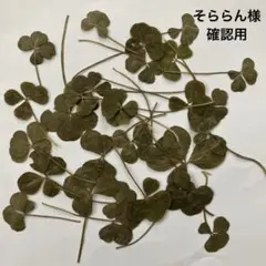 そららん様　確認用！