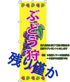 のぼり旗 ぶどう狩り (購入枚数と同数分を無料でプレゼント)