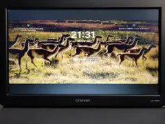センチュリー 10.1インチアナログRGB LCD-10000V HDMI表示可