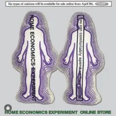 HOME ECONOMICS EXPERIMENT クッション