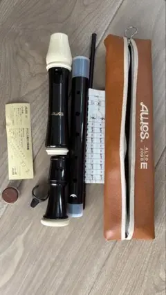 Item thumbnail for item fe10649c-de0a-4eed-812a-15831ca225fb