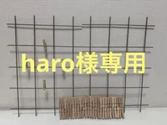 ミールヘーデン(クリップなし)