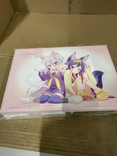 Item thumbnail for item 99b58fe0-d748-4fc4-ac8d-ff9ef8c46b72