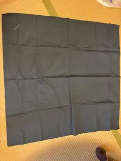 Item thumbnail for item c61dd557-50c8-47c3-ab9a-e7e31e8cac50