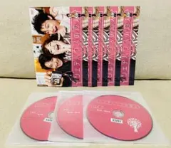 シェアハウスの恋人 DVD 全巻 ドラマ