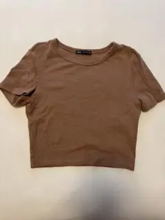 ZARA ブラウン クロップドTシャツ Mサイズ