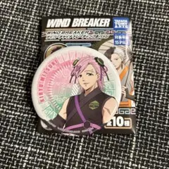 WIND BREAKER ウィンブレ　サイバーチャイナ　缶バッジ　桐生三輝　B