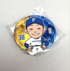 【新品未開封】ファイターズ ガチャ セ・パ交流戦阪神戦限定 石井選手 缶バッジ