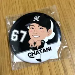 千葉ロッテマリーンズ　茶谷健太　缶バッジ