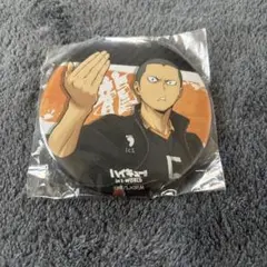 ハイキュー 田中龍之介