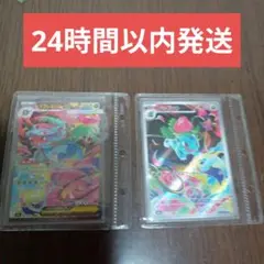 メガフシギバナex sar
