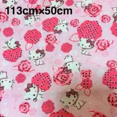 【廃盤】113cm×50cm チャーミーキティー　サンリオ　レア　ハローキティ