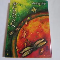 会いたかった人 小池真理子