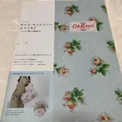 Item thumbnail for item e8721a13-063f-413b-9532-71dd96fded0b