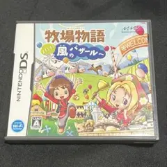 牧場物語 ようこそ！風のバザールへ DS