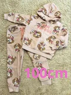 【美品】H&M パウパトロールスカイ　フード付きスウェットセット