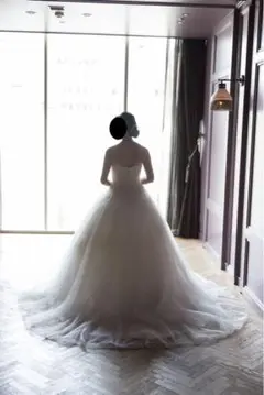 美品 インポート wedding dress(パニエ付き)