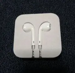 Apple純正　旧型有線イヤホン