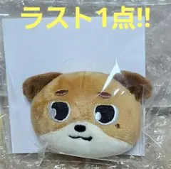 期間限定☆DAY6☆FOREVER YOUNG ぬいぐるみバッチ☆