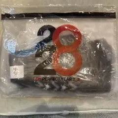 LDH perfect year2020 グッズ　スマホ手袋＋スライダーポーチ
