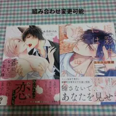 BL　２冊セット291