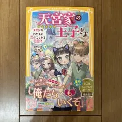 天宮家の王子さま メイドのわたしと恋がこじれる遊園地