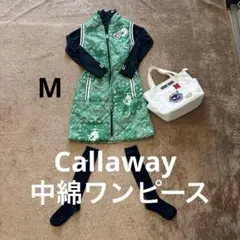 Item thumbnail for item f3670ff7-0079-4c2c-9e05-1a43845ef375