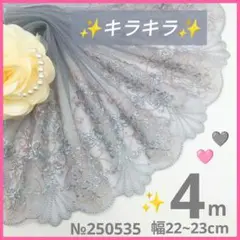 №250535　チュールレース