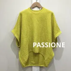 PASSIONE パシオーネ ニット ドルマン スリーブ ポンチョ セーター