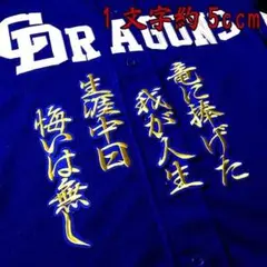 生涯中日 応援歌 (金/青) 刺繍 ワッペン 中日 ドラゴンズ