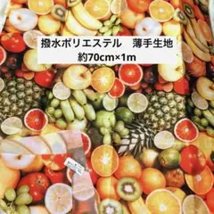 撥水ポリエステル生地　約70cm×1m 薄手生地