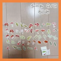 Item thumbnail for item e4161969-a062-4061-8c04-7237abe64ae9