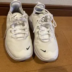 Item thumbnail for item 2b8ef4a9-42a8-45a6-af2f-db37652c3e26