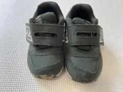 Item thumbnail for item 3d19dcda-fd03-49df-aee3-ce3f4a210442