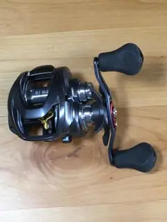 Daiwa STEEZ A TW 1016SHL ダイワ スティーズ
