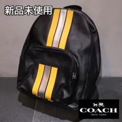 【COACH】新品未使用 コーチ リュック バッグパック ストライプ 大容量