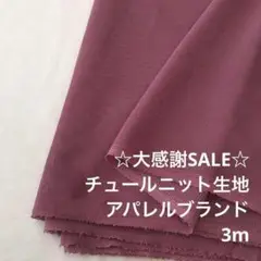 D3L/5747-02◆3m 感謝祭/ポリエステルチュールニット生地/アパレル
