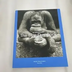 ブルーデイブック