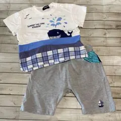 Item thumbnail for item 1c6c834e-f66c-400f-ade7-e38806dc3150