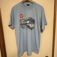 80s 90s USA製 フルーツオブザルーム Tシャツ L シングルステッチ