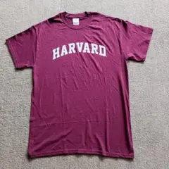 GILDAN HARVARD Tシャツ M バーガンディ