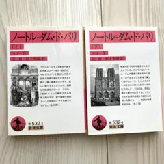 ノートル=ダム・ド・パリ 上　下　2巻セット