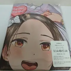 【新品未開封】【オリジナル】 枡田オリジナルヒロイン「小鳥遊みやお」