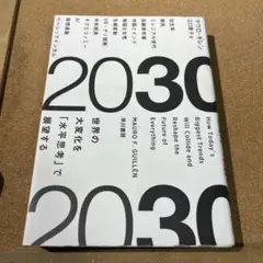 2030 世界の大変化を「水平思考」で展望する