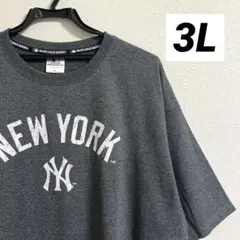 【未使用タグ付】MLB ヤンキース 半袖 Tシャツ グレー 3Lサイズ
