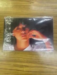 テクニクス 薬師丸ひろ子 横 ブリキ看板 レトロ 新品 アンティーク 壁掛け