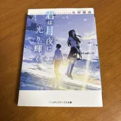 君は月夜に光り輝く