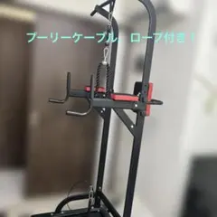 WASAI ぶら下がり健康器 懸垂マシン　プーリーケーブル付