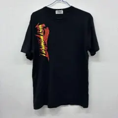 矢沢永吉　ツアーTシャツ　1995 ハ34